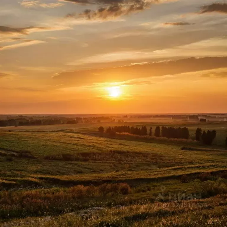 Участок в Свердловская область, Ирбитский район, с. Горки, пос. Епрево ... - Фото 1