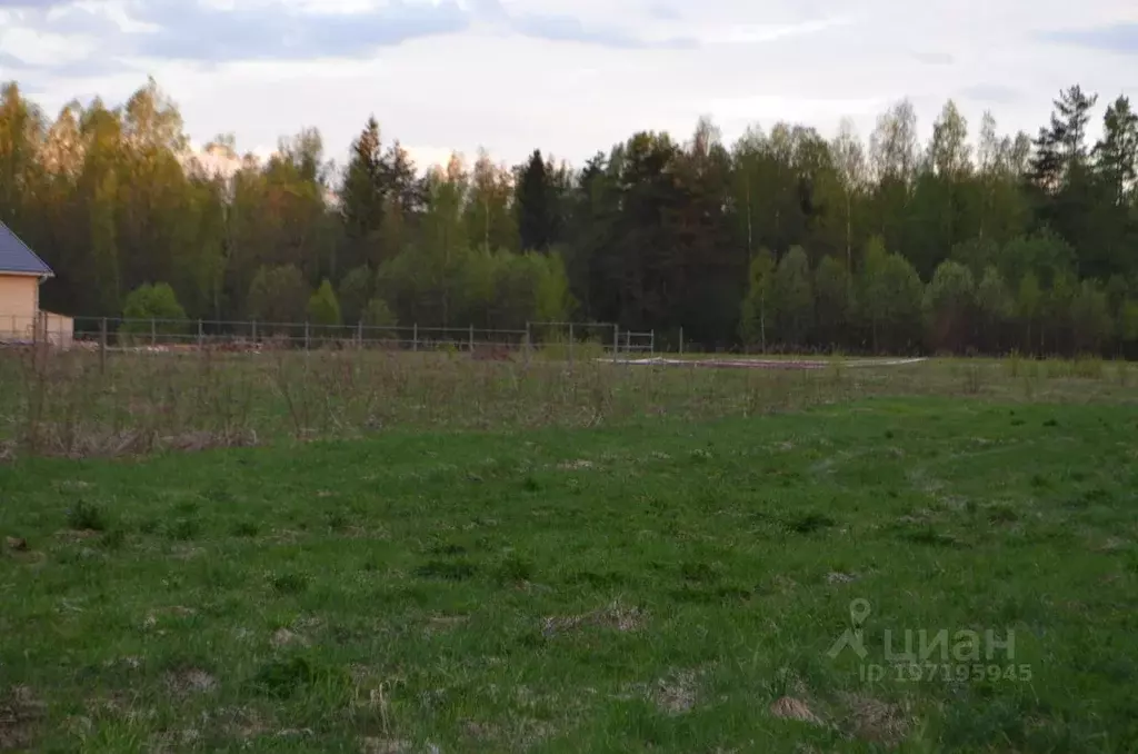 Участок в Новгородская область, Новгородский район, Савинское с/пос, ... - Фото 1