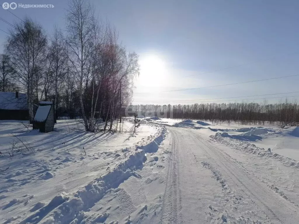 Участок в Новосибирск, Бердское шоссе (6 м) - Фото 0