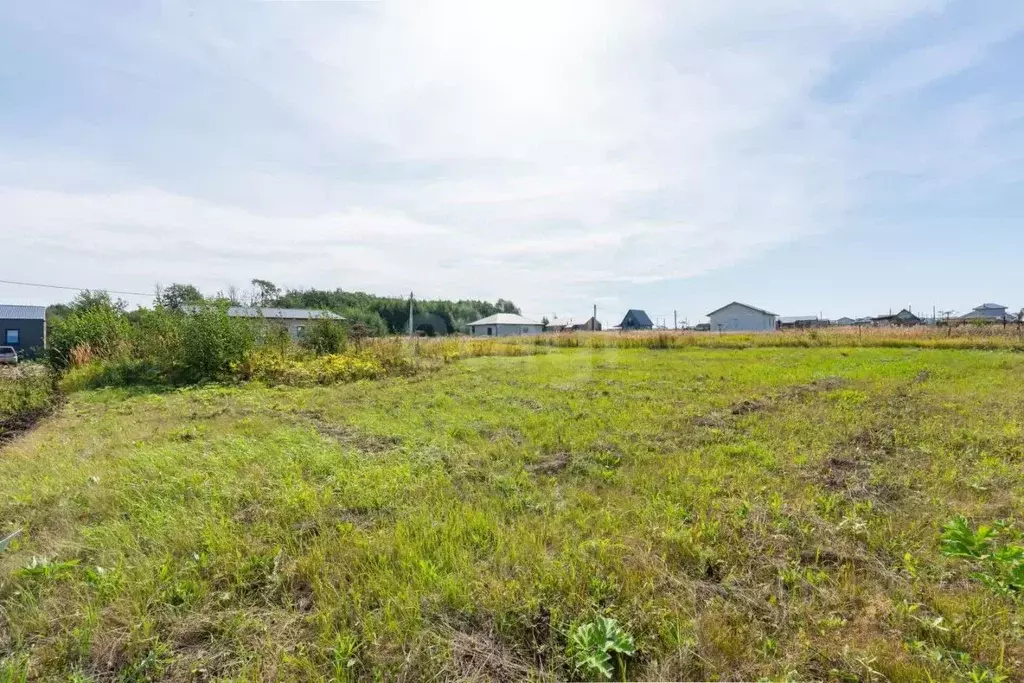 Участок в Пермский край, Пермский муниципальный округ, Мокино Грин кп ... - Фото 2