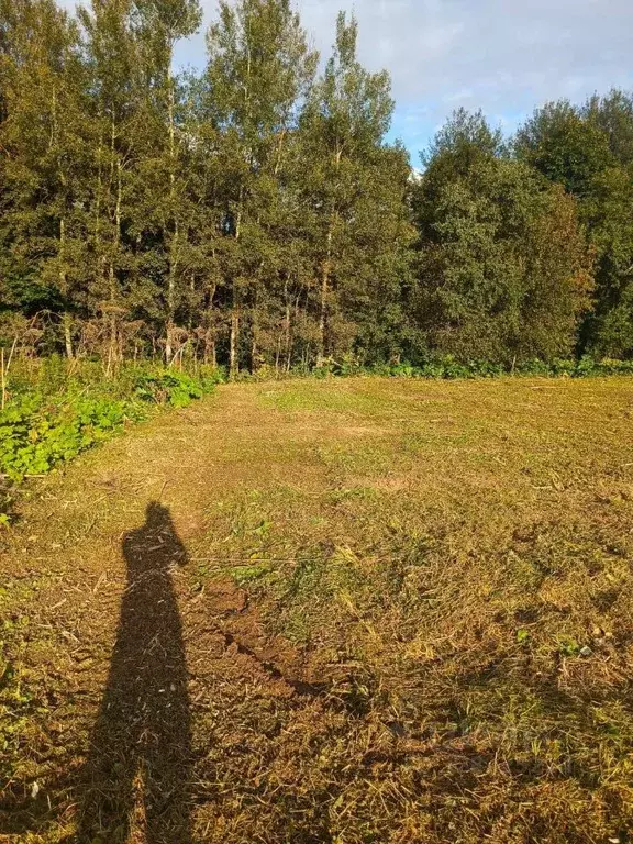 Участок в Московская область, Клин городской округ, д. Соголево  (12.0 ... - Фото 2