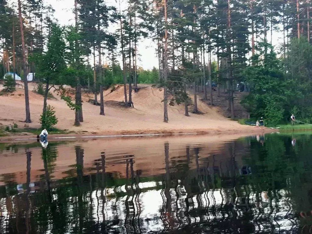 Участок в Ленинградская область, Приозерский район, Сосновское с/пос, ... - Фото 2