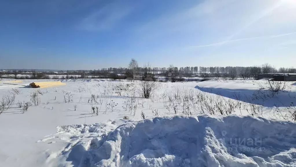 Участок в Кемеровская область, Кемеровский район, с. Ягуново ул. ... - Фото 1