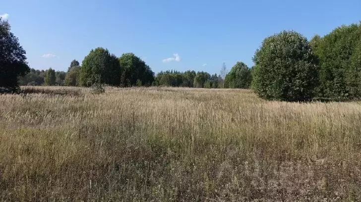 Участок в Московская область, Дмитровский муниципальный округ, д. ... - Фото 0