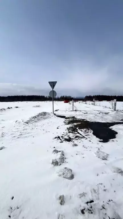 Участок в Сахалинская область, Анивский городской округ, с. Мицулевка ... - Фото 1