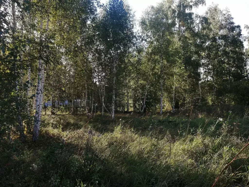 Участок в Курганская область, Кетовский муниципальный округ, д. Лукино ... - Фото 2