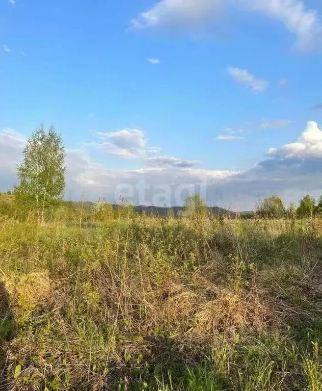 Участок в Алтай, Майминский район, Березка садоводческое товарищество  ... - Фото 0