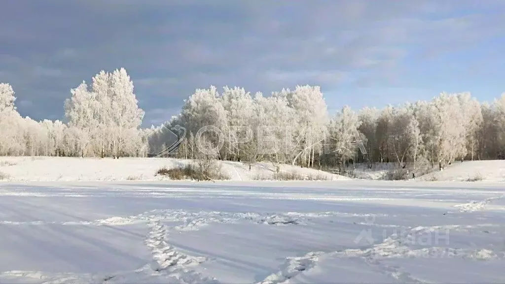Участок в Тюменская область, Тюменский муниципальный округ, д. ... - Фото 1