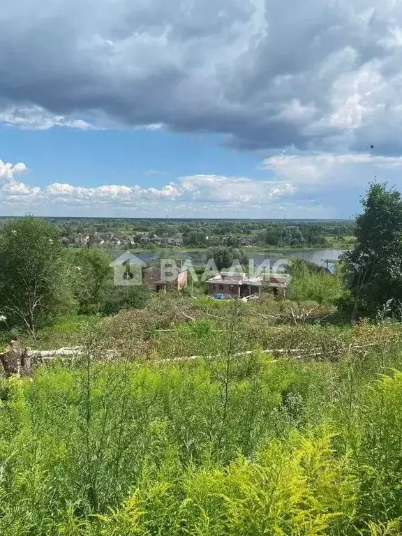 Участок в Нижегородская область, Нижний Новгород д. Афонино, ул. ... - Фото 1