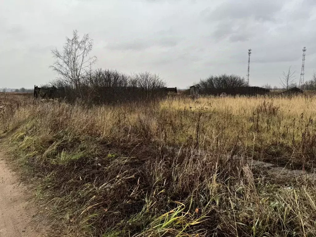 Участок в Московская область, Богородский городской округ, д. ... - Фото 1