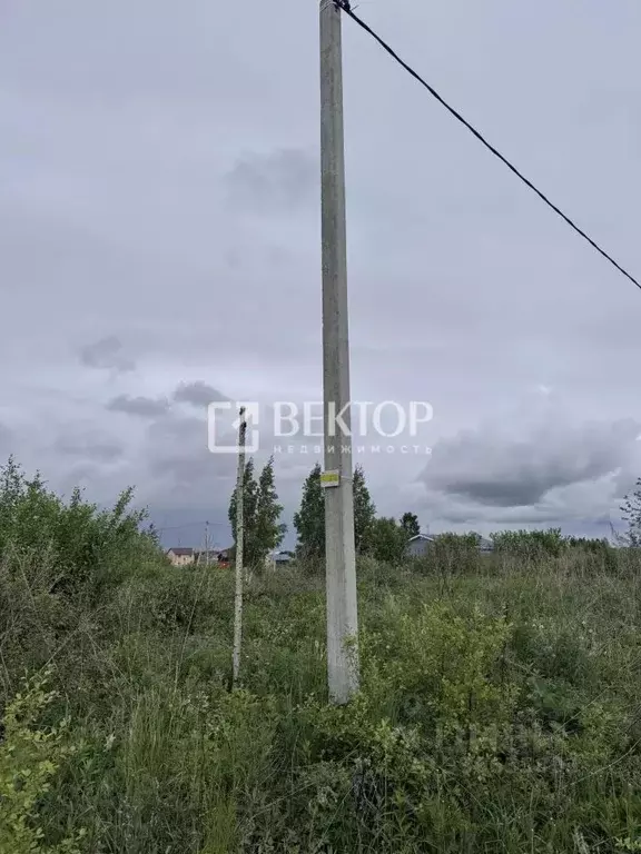 Участок в Костромская область, Кострома Веснянка садоводческое ... - Фото 2
