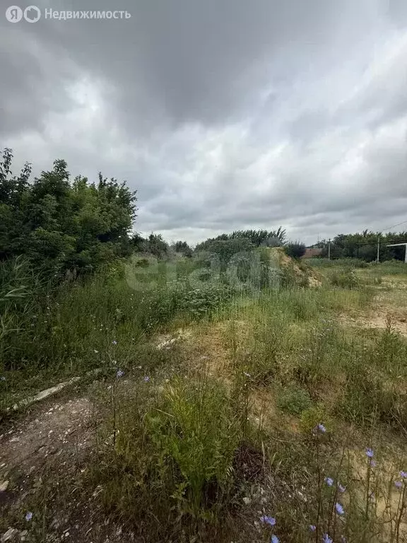 Участок в Саратов, микрорайон Елшанка (24 м) - Фото 0