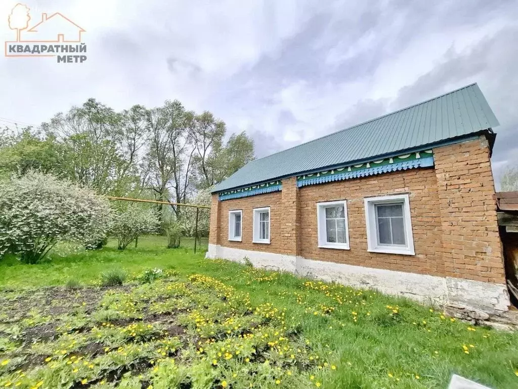 Дом в село Сабакаево, Новая улица (46.6 м) - Фото 0