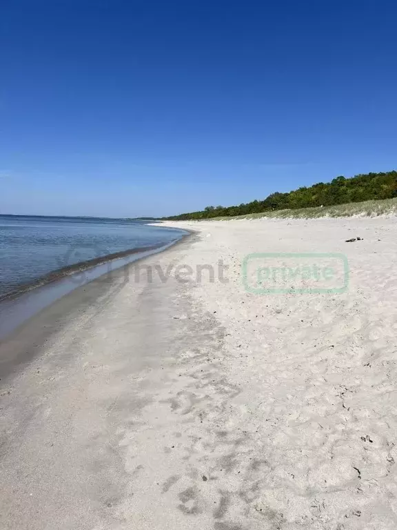 Участок в Калининградская область, Балтийск пос. Мечниково, ул. ... - Фото 0