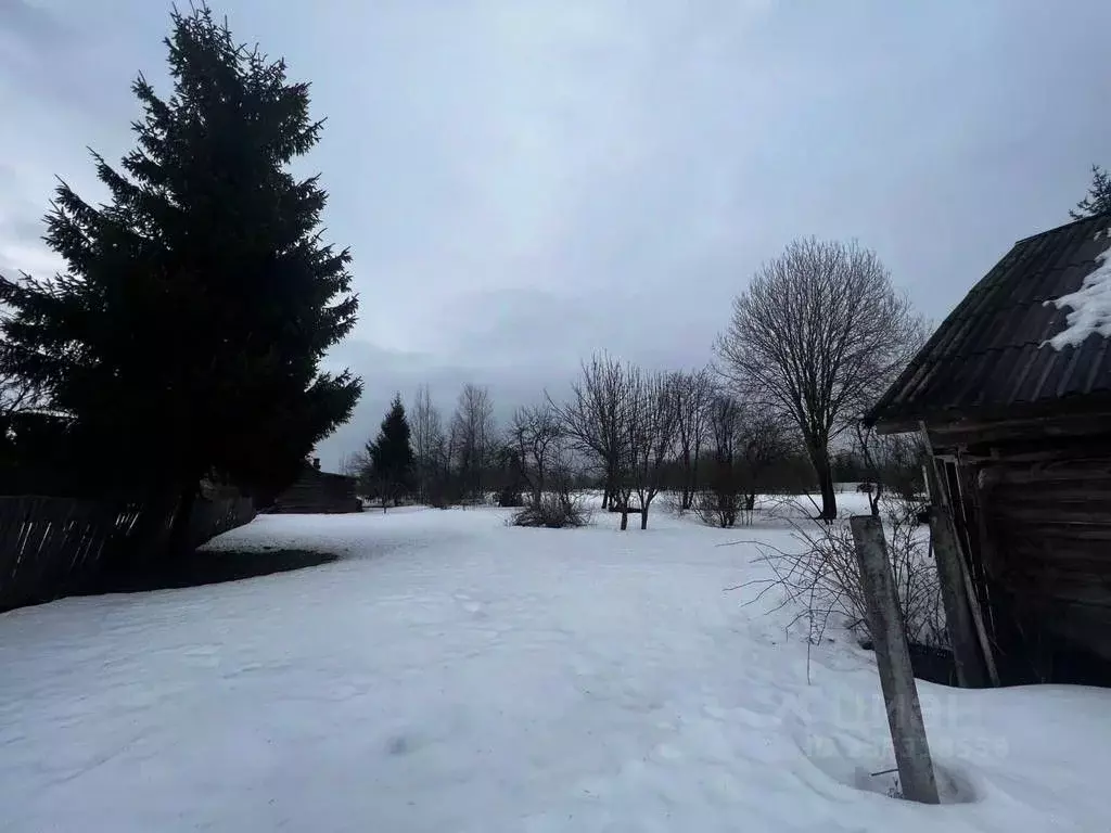 Дом в Владимирская область, Александровский муниципальный округ, ... - Фото 2