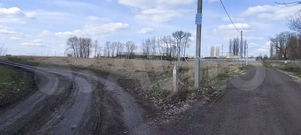 Участок 8 сот. (ИЖС) - Фото 1