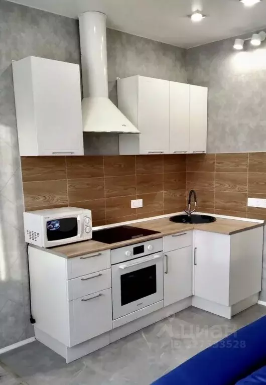 Студия Московская область, Мытищи городской округ, д. Пирогово ул. ... - Фото 1