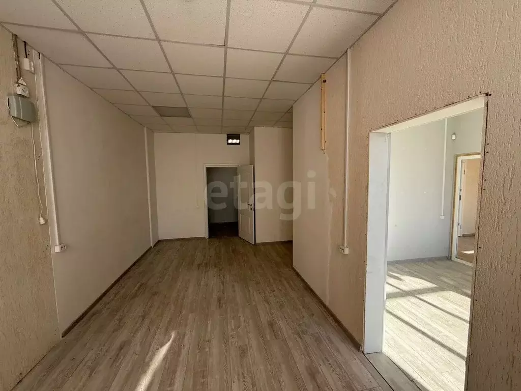 Помещение свободного назначения в Ленинградская область, Всеволожский ... - Фото 1