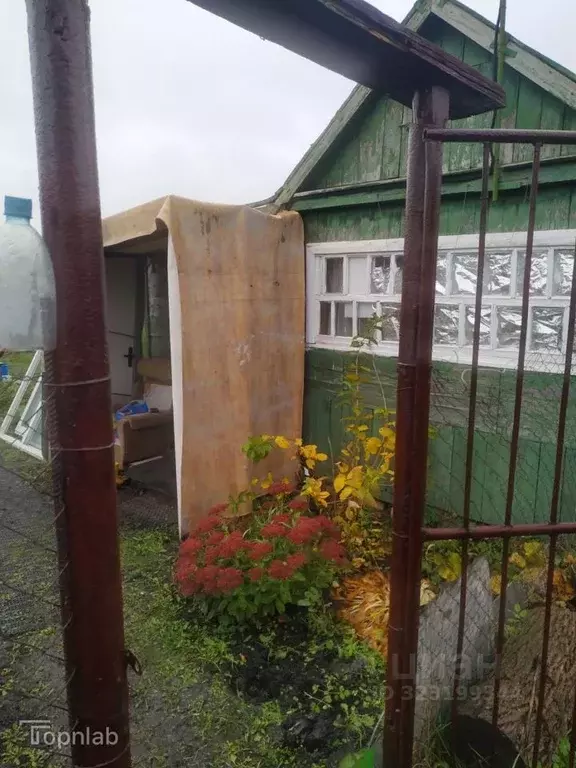 Дом в Тамбовская область, Тамбов Химик СНТ, ул. Центральная (20 м) - Фото 2