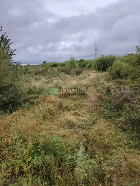 Участок в Амурская область, Благовещенский район, с. Чигири  (30.0 ... - Фото 2