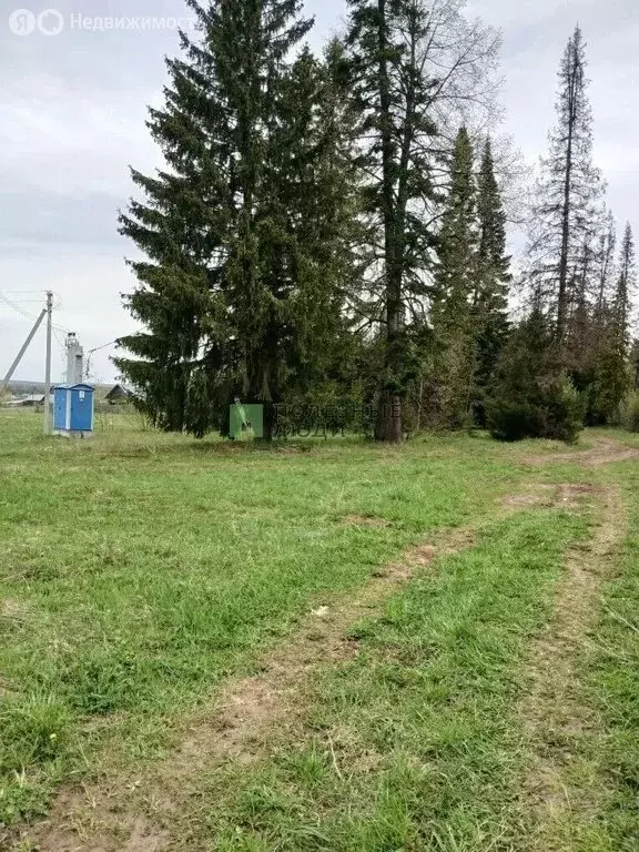 Участок в село Лынга, улица Мира, 3 (15 м) - Фото 2
