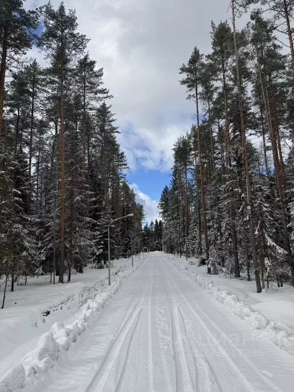 Участок в Ленинградская область, Всеволожский район, Бугровское ... - Фото 1