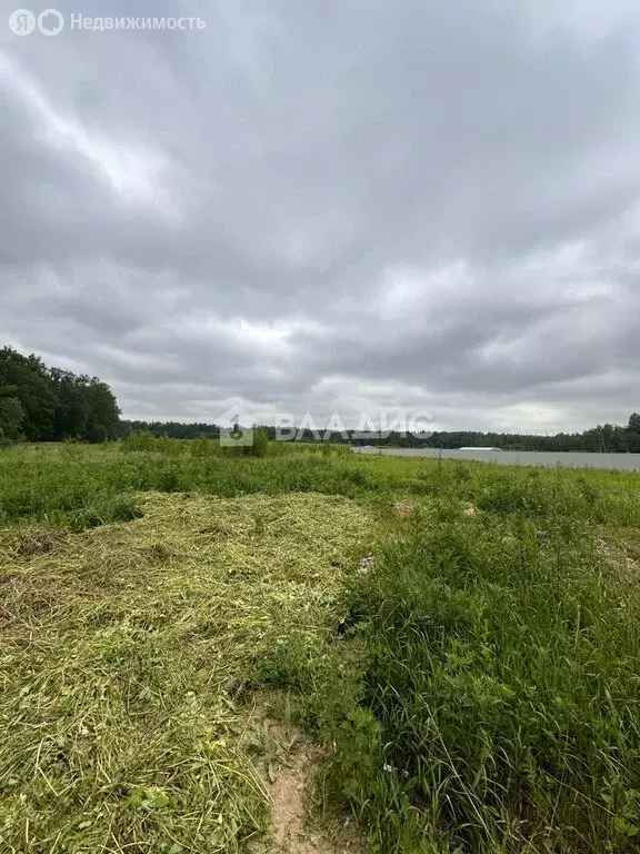 Участок в Раменский городской округ, деревня Прудки, коттеджный ... - Фото 1