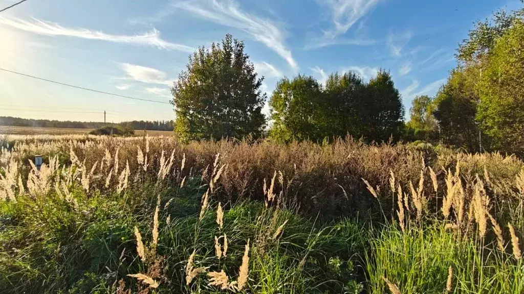 Участок в Московская область, Рузский муниципальный округ, д. Комлево ... - Фото 1