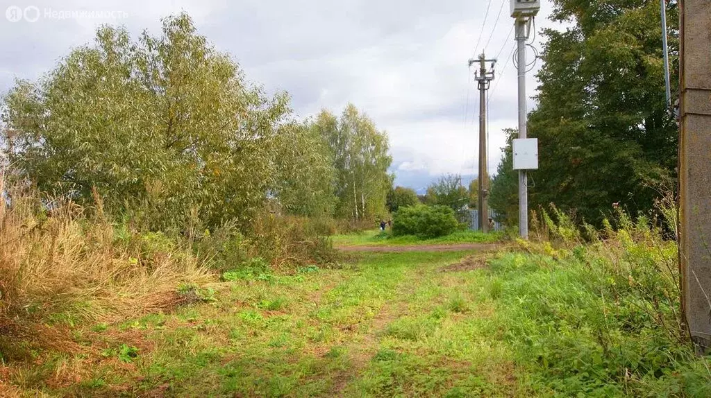 Участок в Московская область, Волоколамский муниципальный округ, село ... - Фото 2
