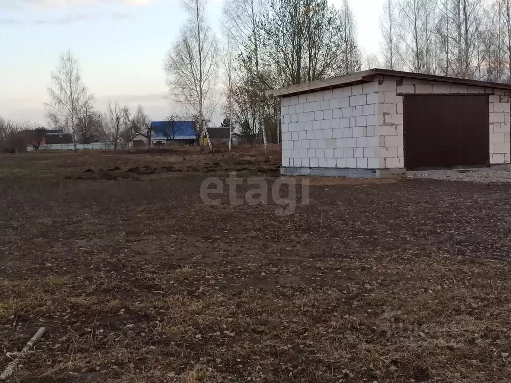 Участок в Брянская область, Брянский район, Снежское с/пос, с. ... - Фото 1