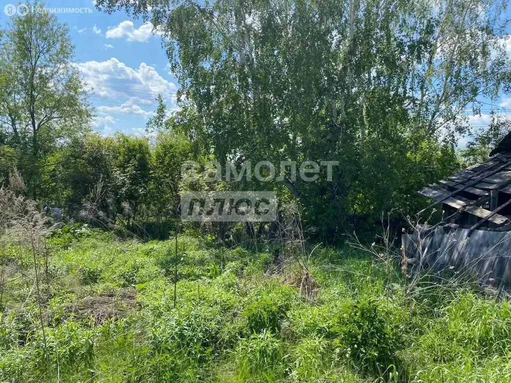 Участок в Киреевский район, сельское поселение Бородинское, деревня ... - Фото 2