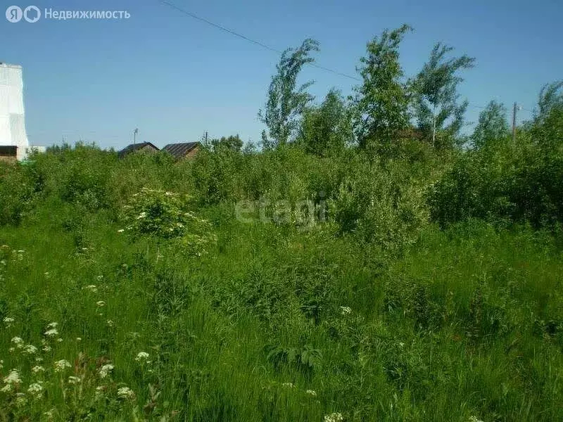 Участок в Малиновский сельсовет, деревня Ильинка, Центральная улица ... - Фото 1