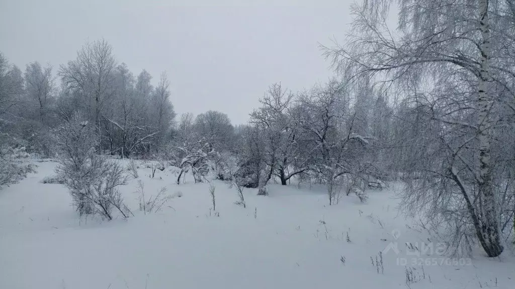 Участок в Московская область, Можайский муниципальный округ, пос. ... - Фото 1