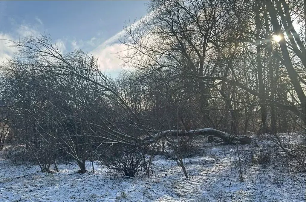 Участок в Московская область, Ступино городской округ, Михнево рп  ... - Фото 0