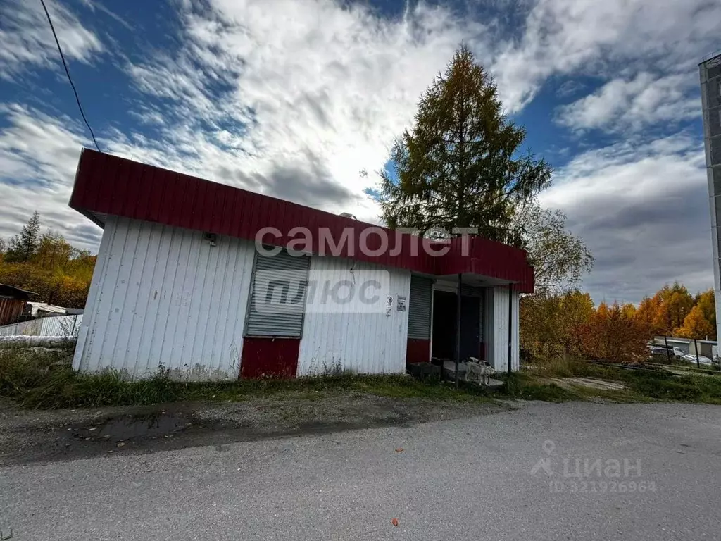 Торговая площадь в Амурская область, Тында Светлая ул., 3 (54 м) - Фото 1