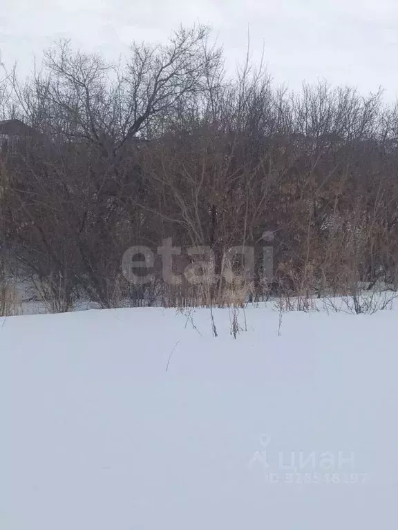 Участок в Алтайский край, Белокуриха ул. Грибная (9.15 сот.) - Фото 1