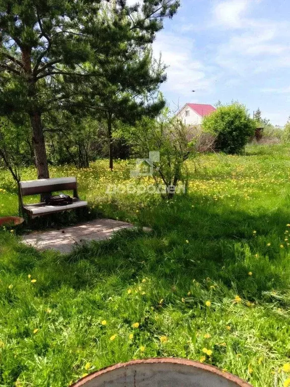 Участок в Свердловская область, Белоярский муниципальный округ, Мечта ... - Фото 1