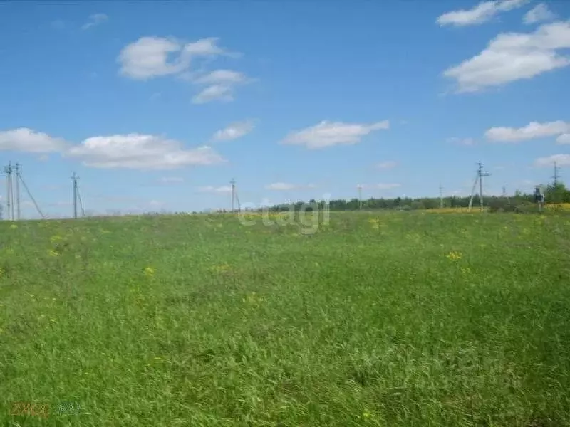 Участок в Свердловская область, Нижний Тагил ул. 2-я Звездная (10.0 ... - Фото 0