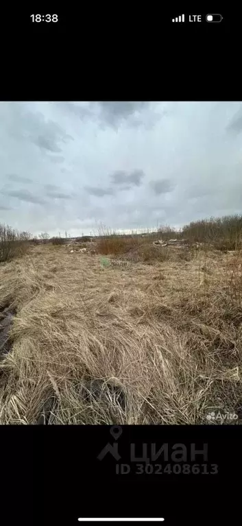 Участок в Татарстан, Тукаевский район, д. Азьмушкино, Подсолнухи мкр ... - Фото 1