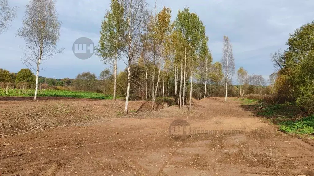 Участок в Ленинградская область, Лодейнопольский район, Алеховщинское ... - Фото 1