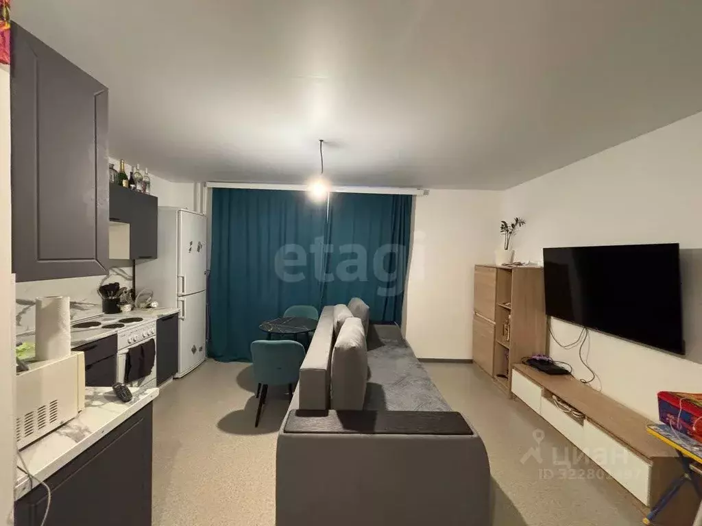 Студия Челябинская область, Южноуральск ул. Энергетиков, 7 (24.3 м) - Фото 1