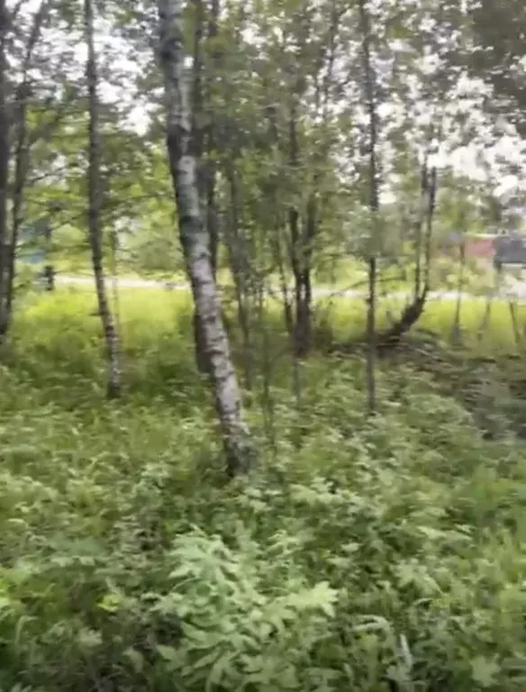 Участок в Владимирская область, Александровский муниципальный округ, ... - Фото 2