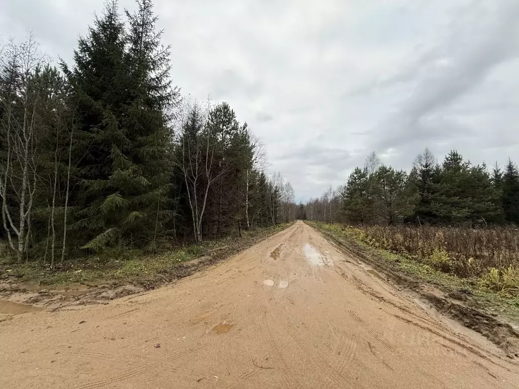 Участок в Московская область, Рузский муниципальный округ  (9.0 сот.) - Фото 1