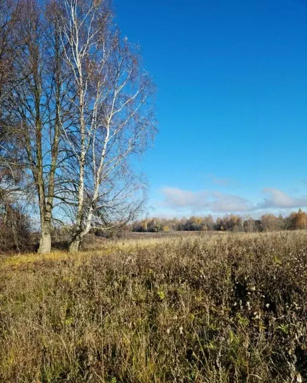 Участок в Ярославская область, Угличский муниципальный округ, д. ... - Фото 2