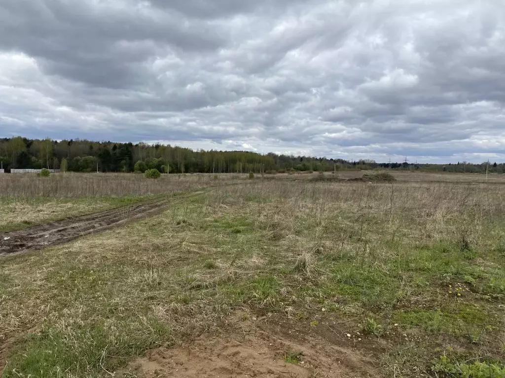 Участок в Ярославская область, Ярославский муниципальный округ, ... - Фото 1