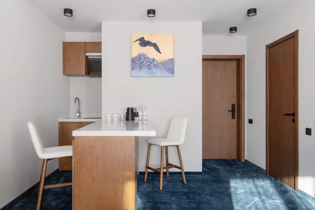 Комната Карачаево-Черкесия, Зеленчукский район, с. Архыз, пос. ... - Фото 1