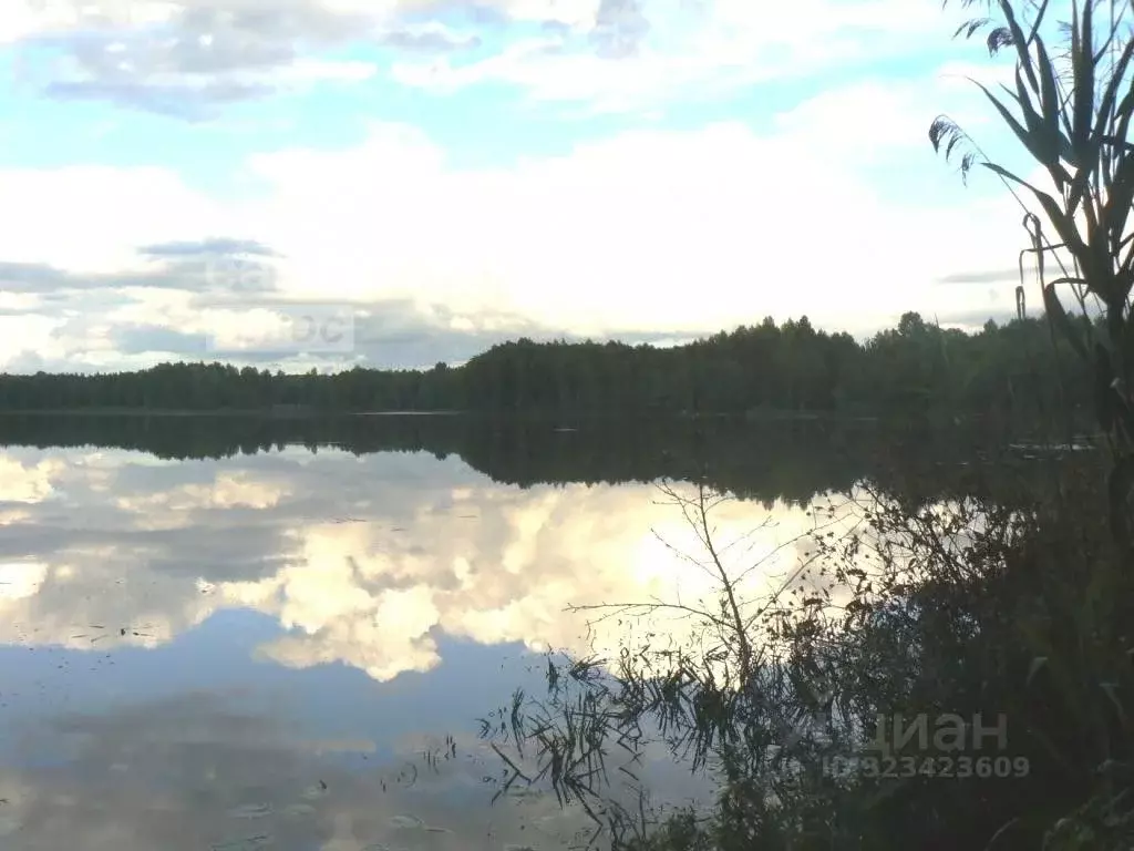 Участок в Тверская область, Кимрский муниципальный округ, д. Азарово ... - Фото 1