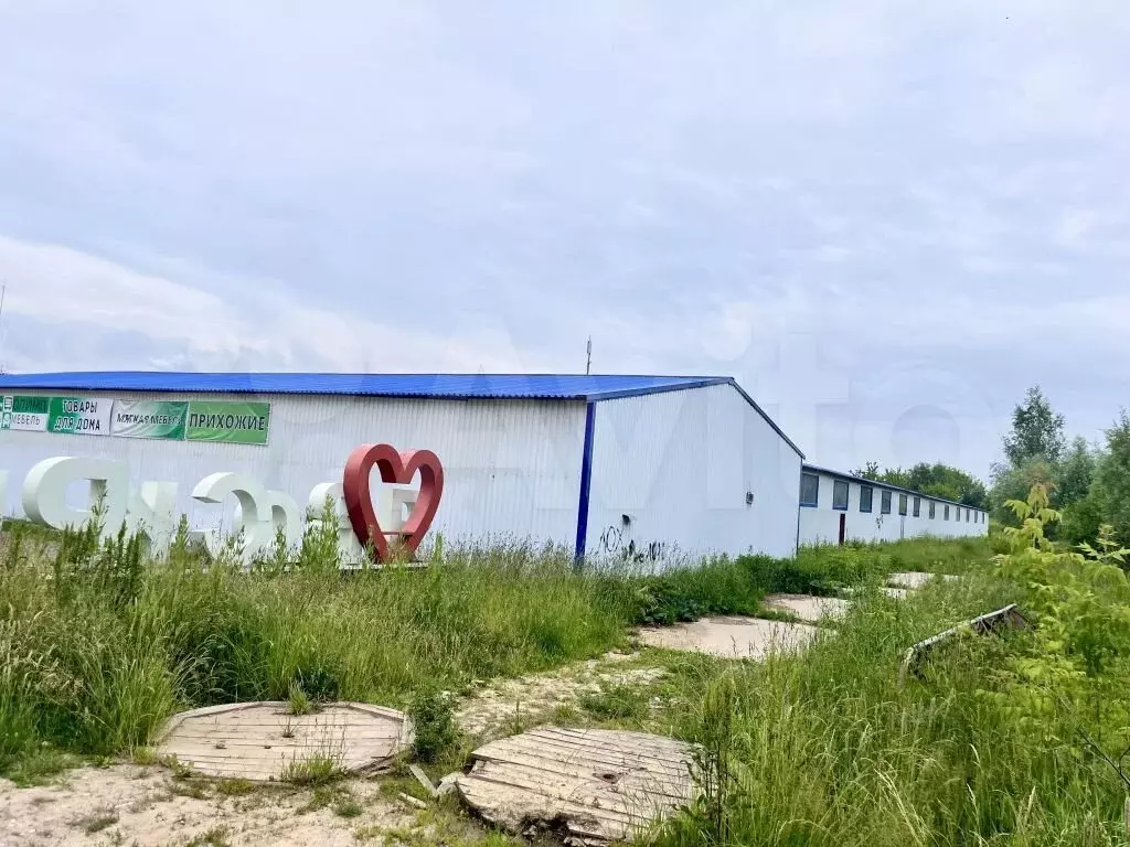 Свободного назначения, 3200 м - Фото 1