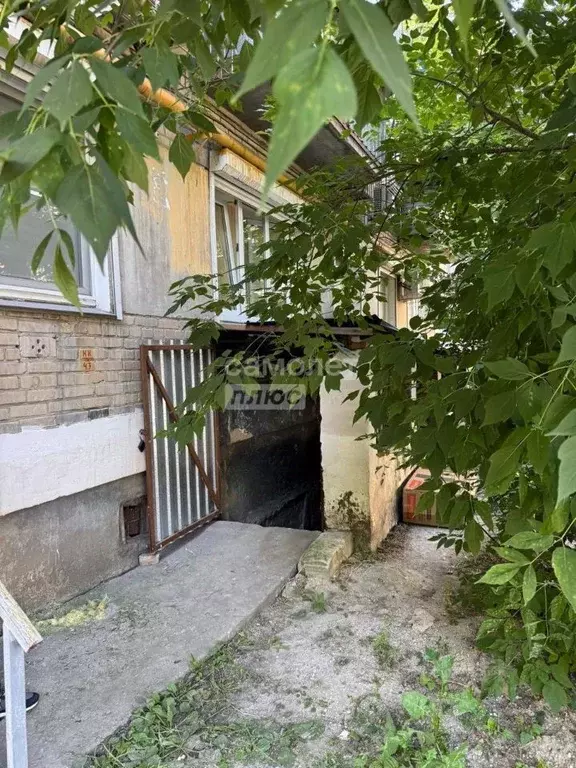 Помещение свободного назначения в Челябинская область, Челябинск ул. ... - Фото 0