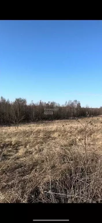 Участок в Нижегородская область, Богородск ул. Мира (18.5 сот.) - Фото 0